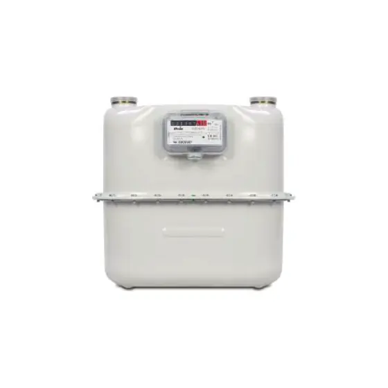 G10 Gas Meter Gallus 2000