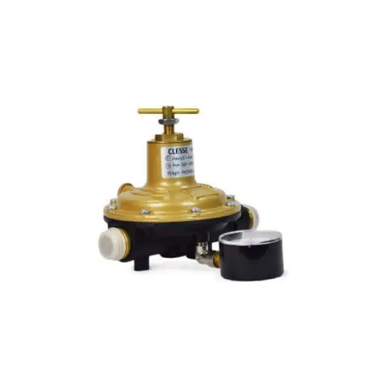 15 kg/hr Second Stage Regulator
