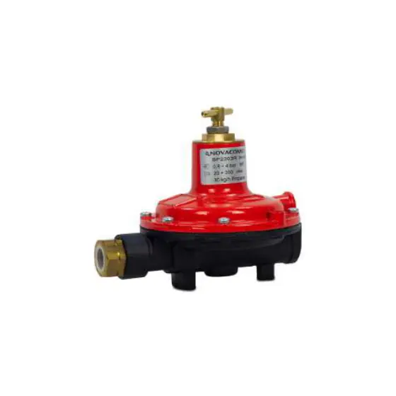 30 kg/hr Regulator