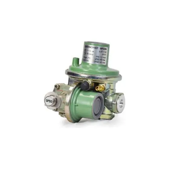 10 kg/hr Regulator