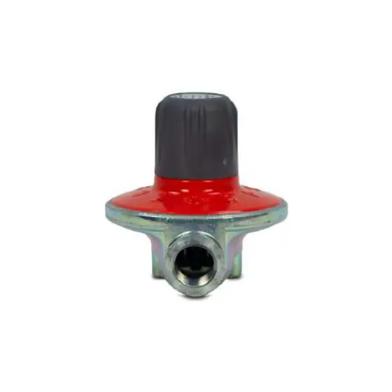 4 kg/hr Regulator
