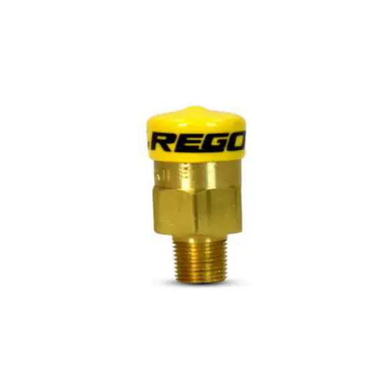 Safety Relief Valve